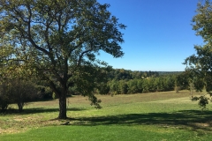 IMG-20181025-WA0004