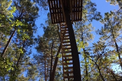 IMG-20181025-WA0041