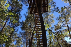 IMG-20181025-WA0048