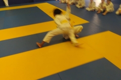 IMG-20210703-WA0091